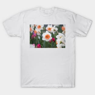 Field of Daffodils T-Shirt